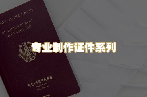 专业制作证件系列